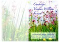 /album/photogallery/vaughan-williams-festival-programme-copy-jpg/